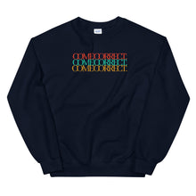 Load image into Gallery viewer, Come Correct Multicolored Sweatshirt

