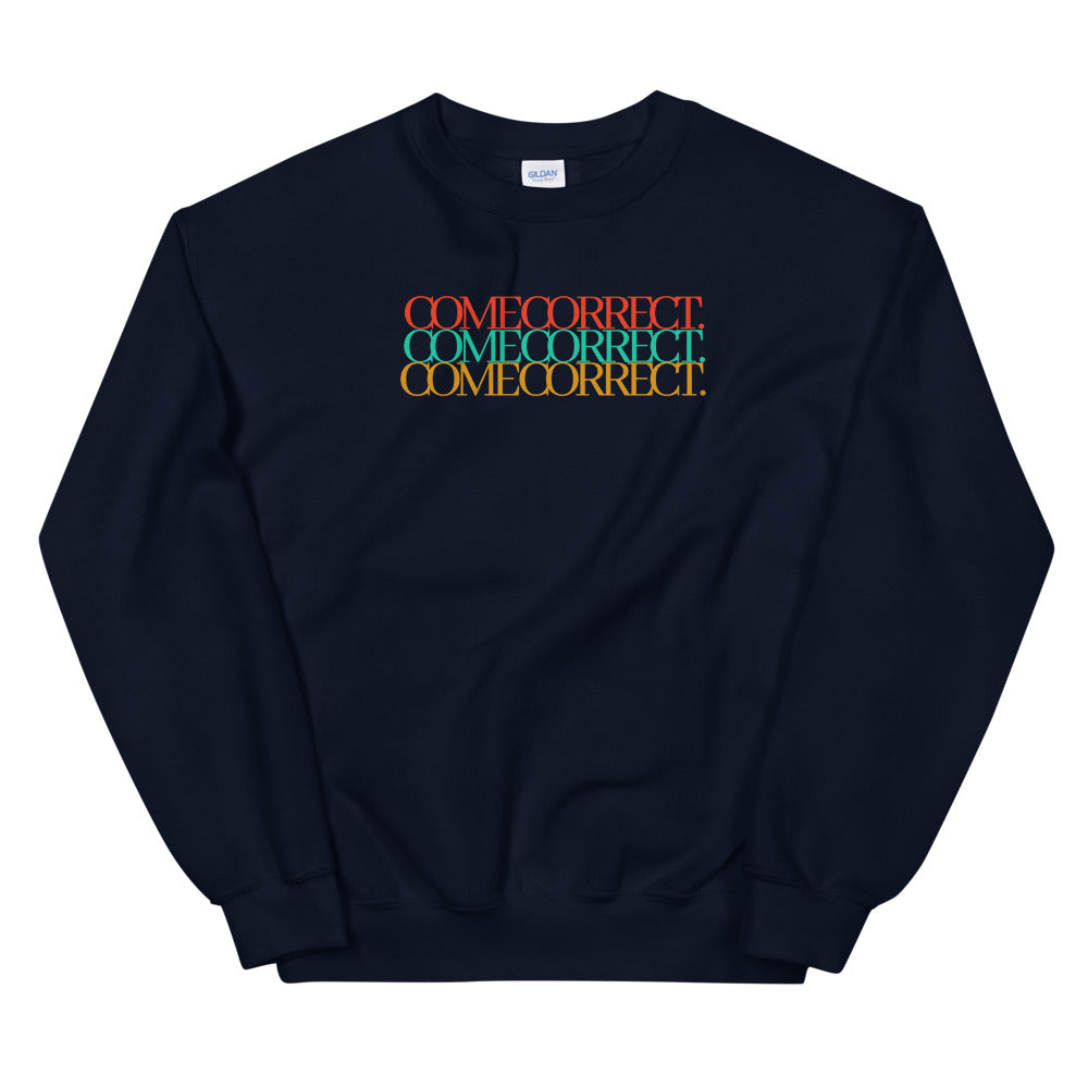 Come Correct Multicolored Sweatshirt